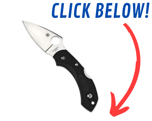 Spyderco Delica Vs Dragonfly [Which Is The Better Knife For You ...