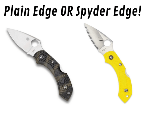 spyderco dragonfly 2 colors